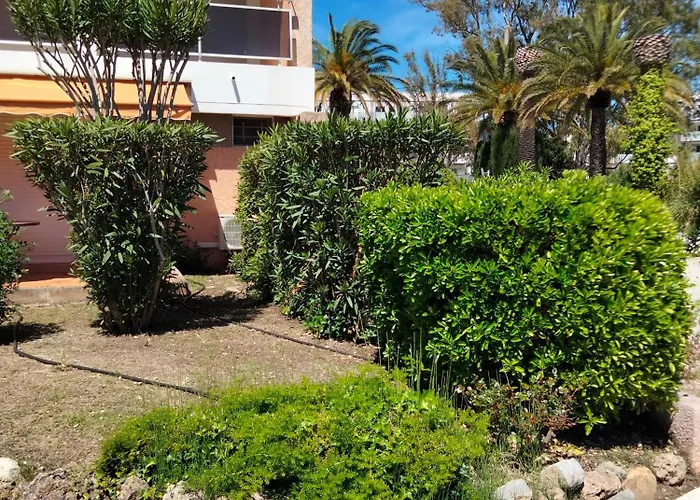 Bord De * Hyères